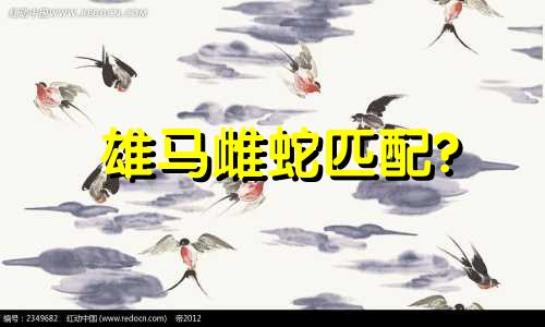 雄马雌蛇匹配?