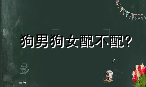 狗男狗女配不配?