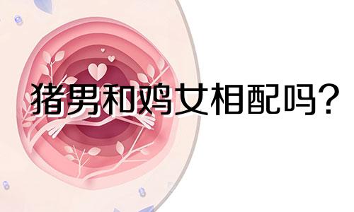 猪男和鸡女相配吗?