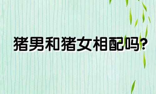 猪男和猪女相配吗?