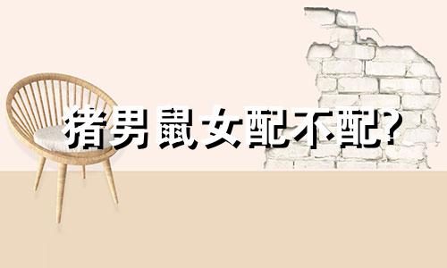 猪男鼠女配不配?