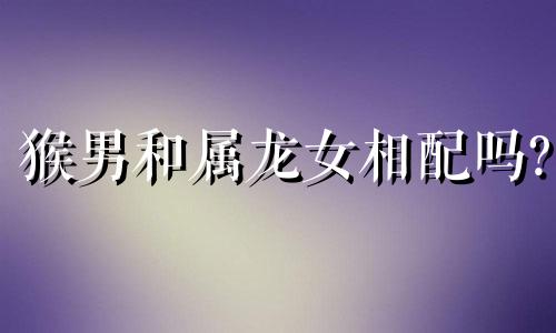 猴男和属龙女相配吗?