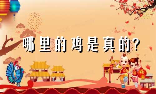 哪里的鸡是真的?