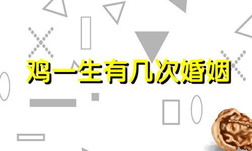 鸡一生有几次婚姻