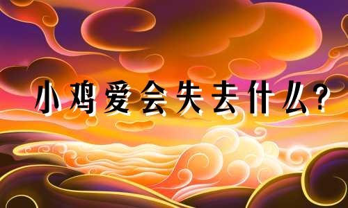 小鸡爱会失去什么?