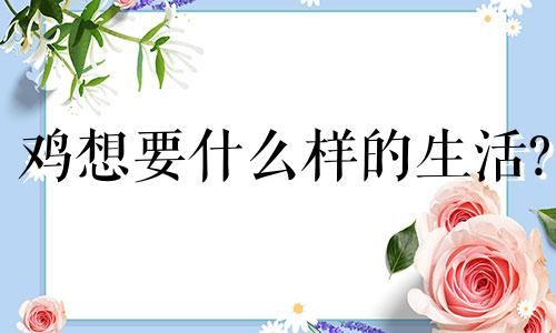 鸡想要什么样的生活?