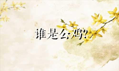 谁是公鸡?