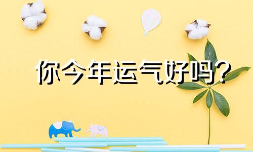 你今年运气好吗?