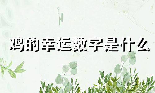 鸡的幸运数字是什么
