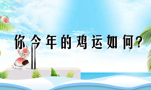 你今年的鸡运如何?