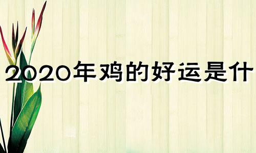 2020年鸡的好运是什么?