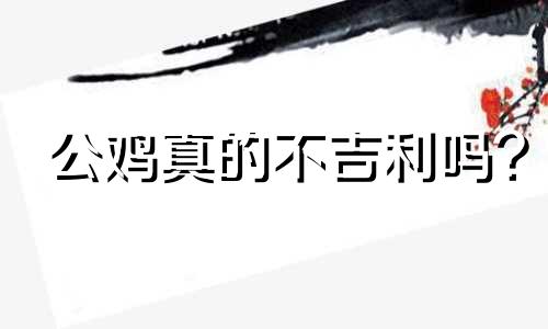 公鸡真的不吉利吗?