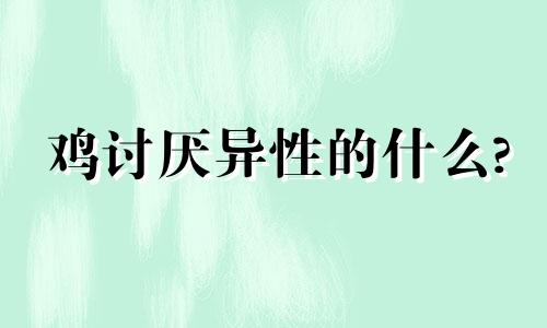 鸡讨厌异性的什么?
