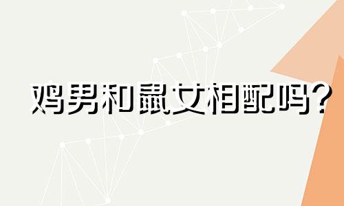 鸡男和鼠女相配吗?