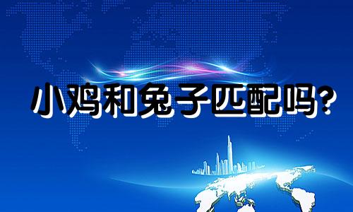 小鸡和兔子匹配吗?