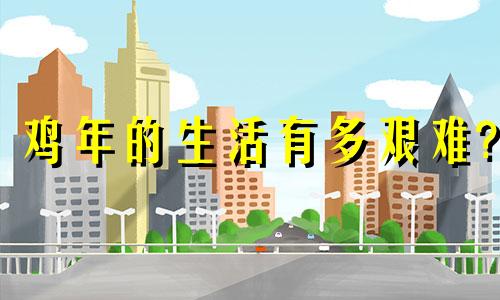 鸡年的生活有多艰难?