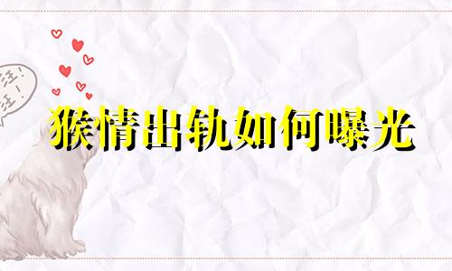 猴情出轨如何曝光