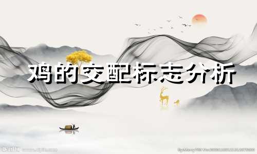 鸡的交配标志分析