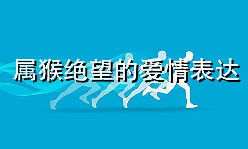 属猴绝望的爱情表达