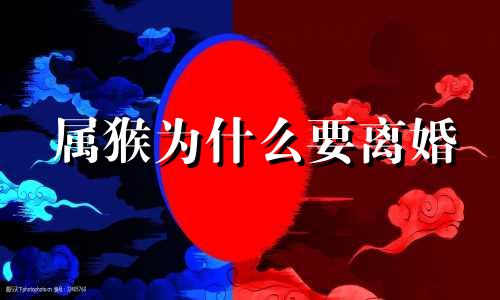 属猴为什么要离婚