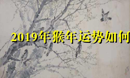 2019年猴年运势如何