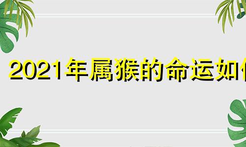 2021年属猴的命运如何