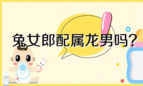 兔女郎配属龙男吗?