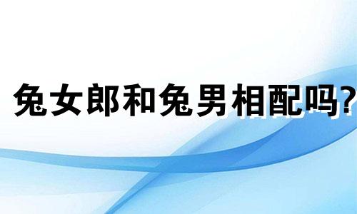 兔女郎和兔男相配吗?