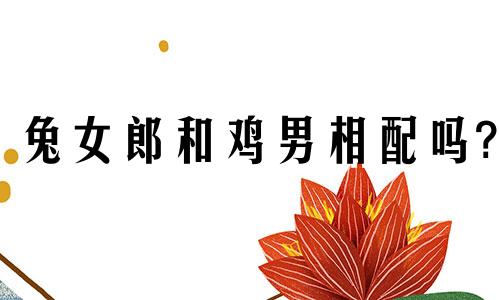 兔女郎和鸡男相配吗?
