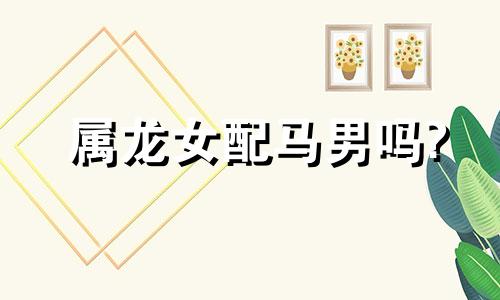 属龙女配马男吗?