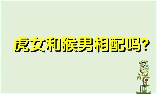 虎女和猴男相配吗?