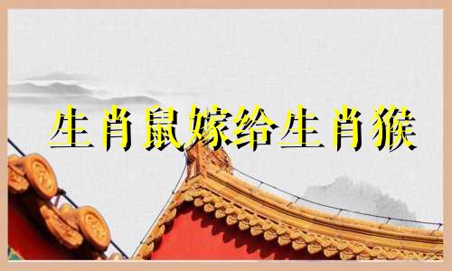 生肖鼠嫁给生肖猴