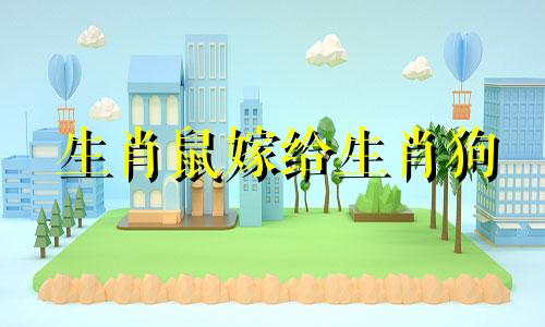 生肖鼠嫁给生肖狗