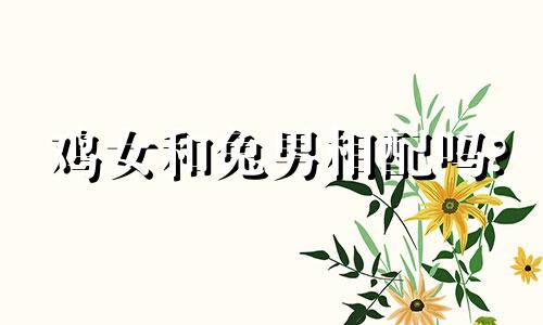 鸡女和兔男相配吗?