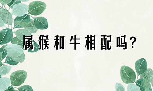 属猴和牛相配吗?