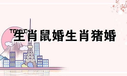 生肖鼠婚生肖猪婚