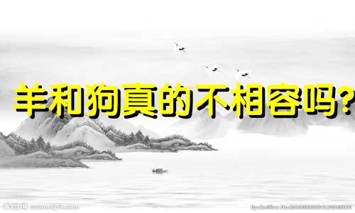 羊和狗真的不相容吗?