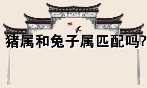 猪属和兔子属匹配吗?