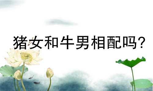 猪女和牛男相配吗?