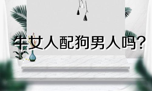 牛女人配狗男人吗?