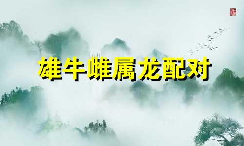 雄牛雌属龙配对