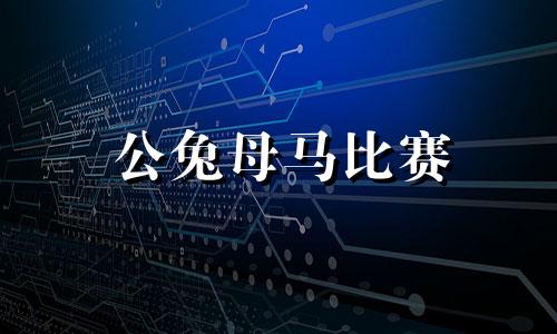 公兔母马比赛