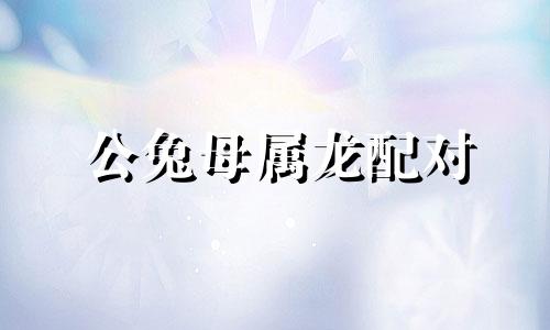 公兔母属龙配对