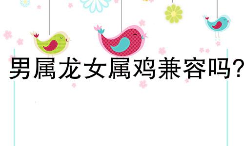 男属龙女属鸡兼容吗?