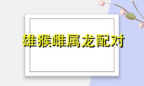 雄猴雌属龙配对