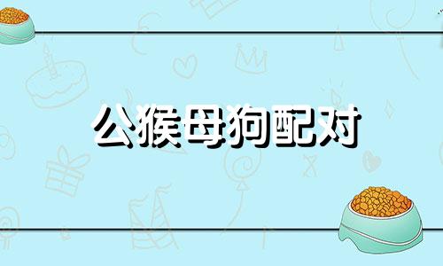 公猴母狗配对