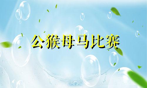 公猴母马比赛