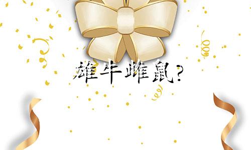 雄牛雌鼠?