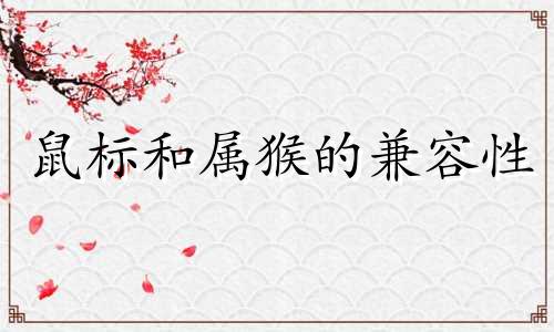 鼠标和属猴的兼容性