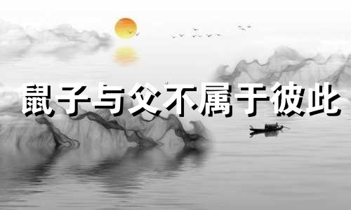 鼠子与父不属于彼此